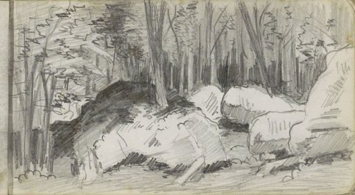 Forest with boulders in Felsenmeer