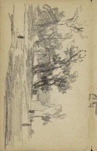 Landscape with trees
