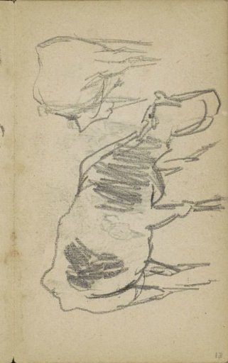 Two cows