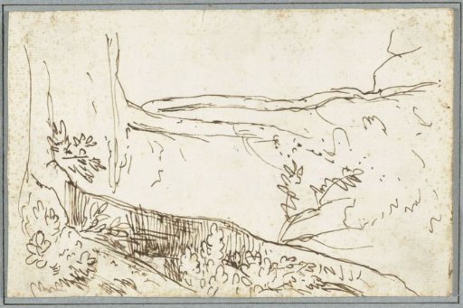 Study of Two Trees