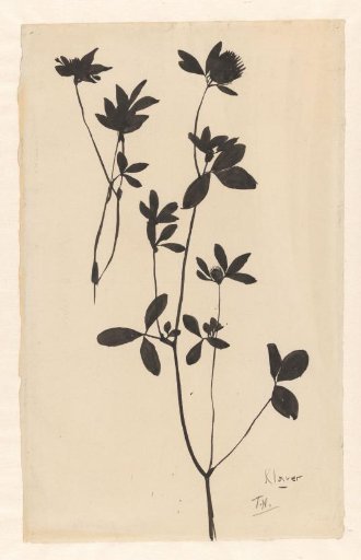 Clover
