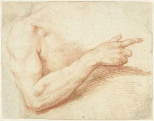 Studie van een arm