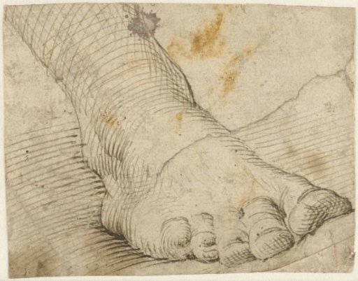 Study of a right foot, obliquely from the front