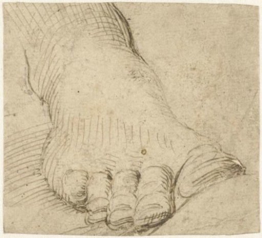 Study of a right foot, from the front
