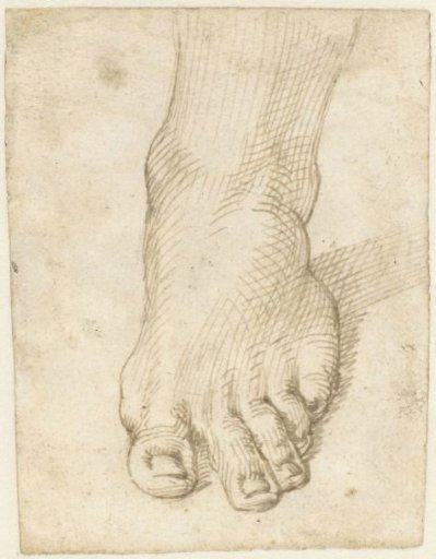 Study of a left foot, from the front