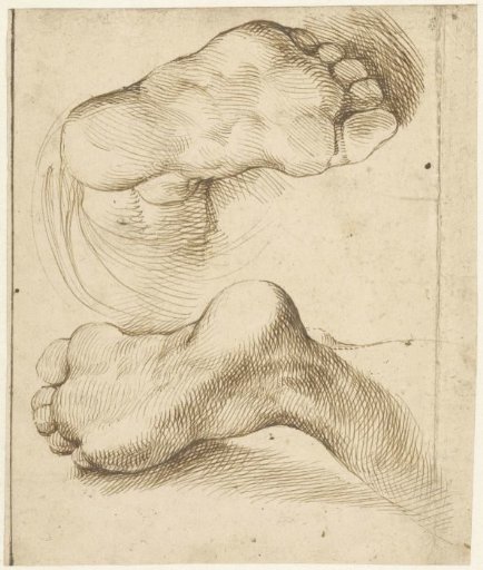 Study of two feet, seen from the sole