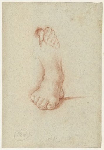 Two studies of a foot