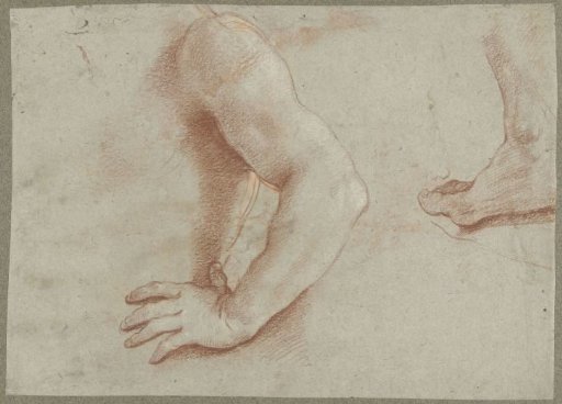 Studies for Body Parts of Saint Florian