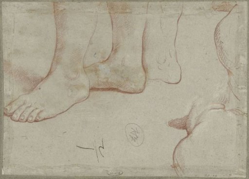 Studies of Feet, Head, and Shoulders of a Man Seen from Behind