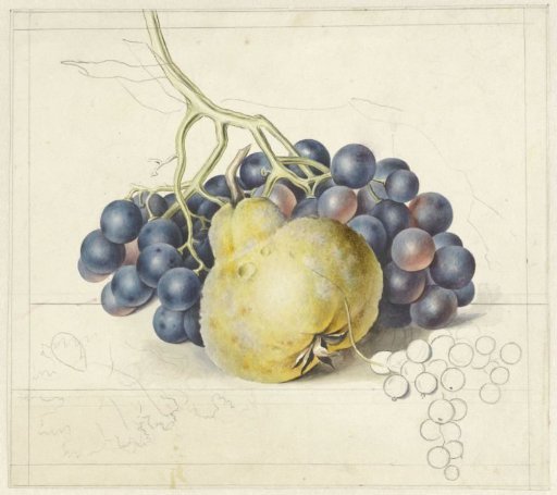 Still Life with Grapes and a Pear