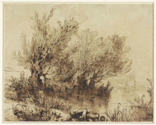 Willows by a lake in gently rolling terrain