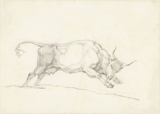 Attacking Cow, Facing Right