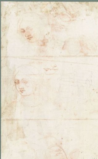 Some Women's Heads