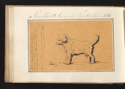 Dog with a Bone