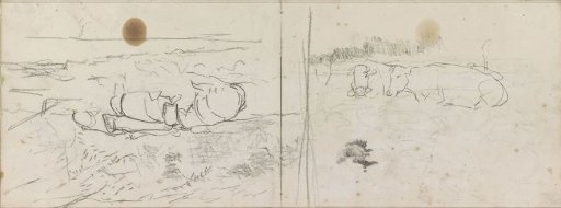 Lying cows in a meadow