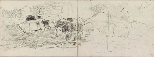 Lying cows