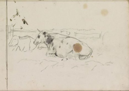Two lying cows in a meadow