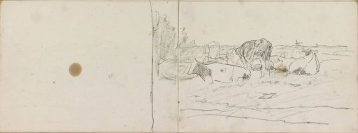 Standing and lying cows in a meadow