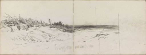 Landscape with plants and shrubs
