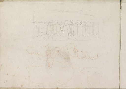 Flock of sheep and a shepherd with a flock of sheep at the edge of a forest