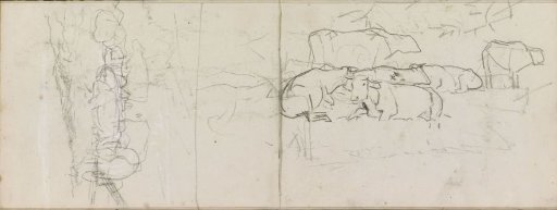 Cows in a meadow