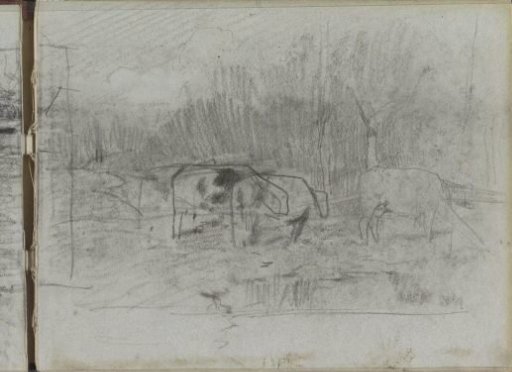Cows in a meadow