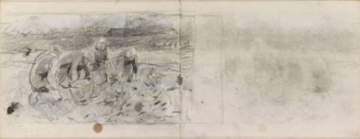 Potato Diggers in the Field