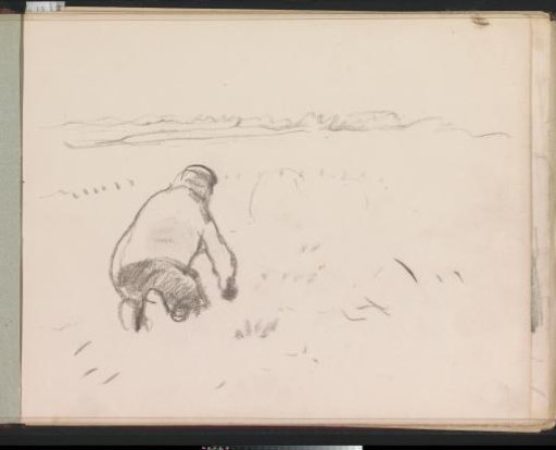 Crouching potato digger in a field
