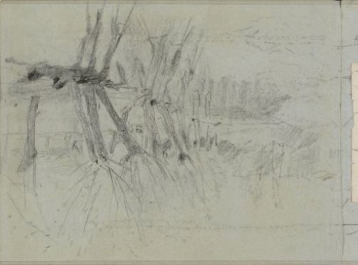 Alders by the Water