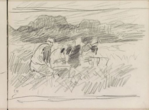 Potato diggers in the field