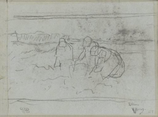 Three potato diggers in the field