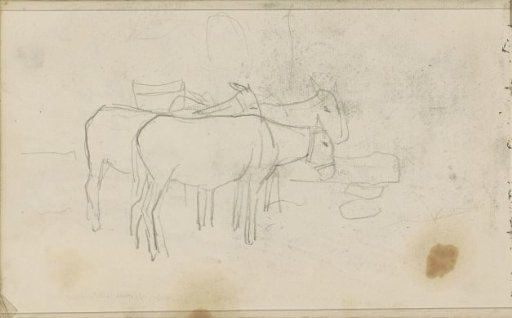 Three horses