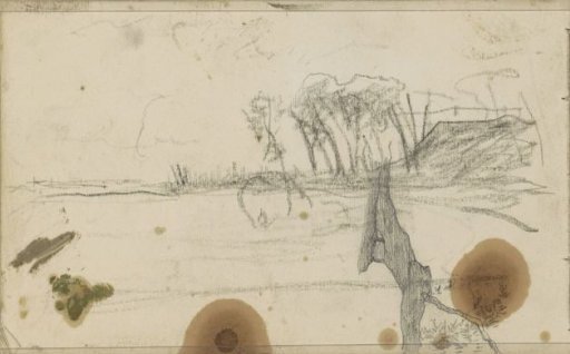 Landscape with trees and a tree trunk with branches