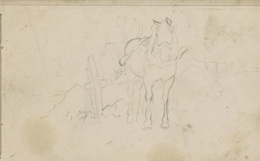Draught horse