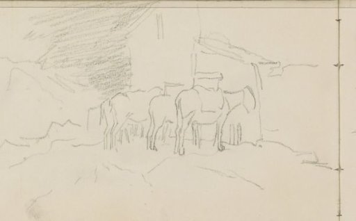 Donkeys in a row against a facade