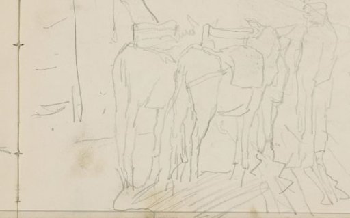 Saddled and laden donkeys on a street