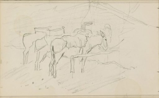 Donkeys in an outdoor stable