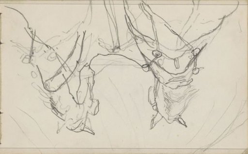 Two draft horses, seen from above on the neck and back
