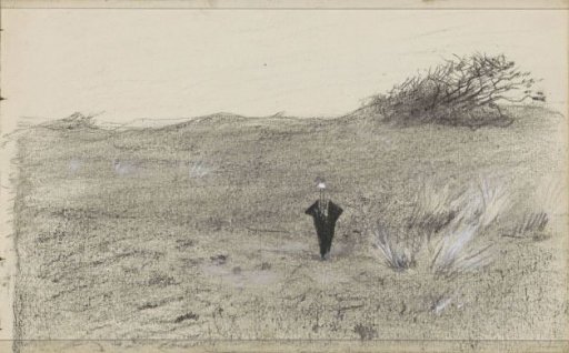 Grassland