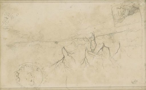 Landscape with pollarded willows