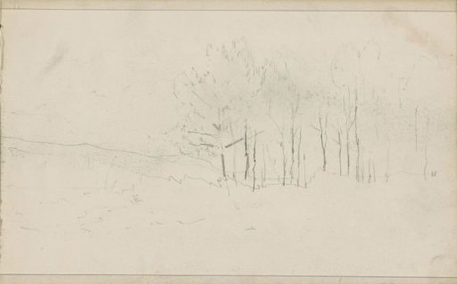 Landscape with trees