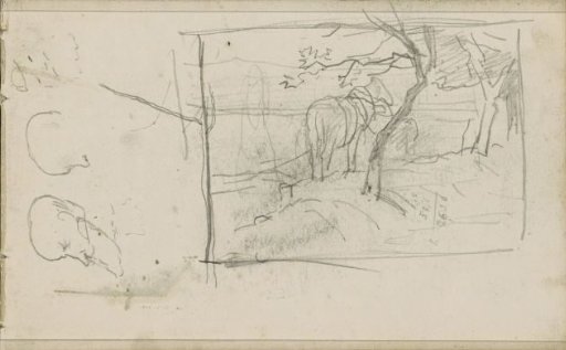 Horse in a meadow