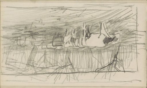 Cows in a meadow