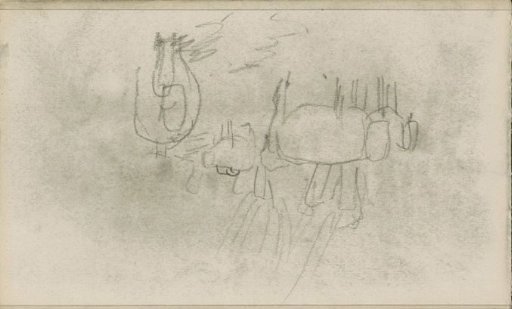Cows