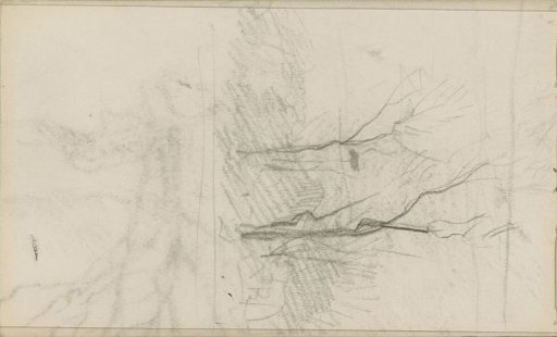 Trees with bare branches