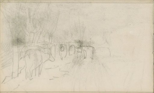 Cows in a meadow