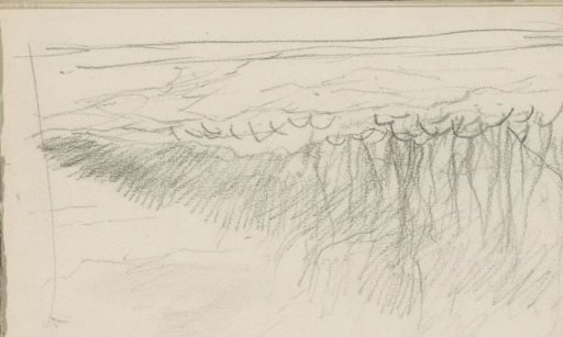 Flock of sheep on a heath