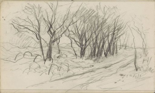 Path along a group of trees