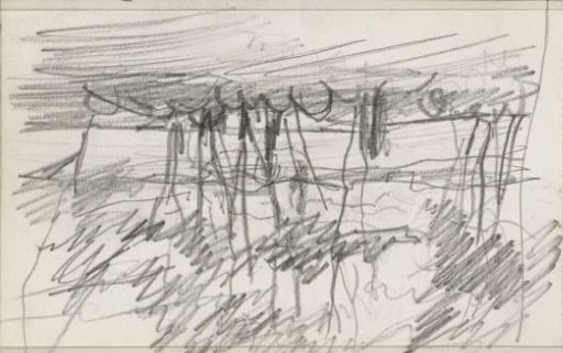 Row of trees by the water