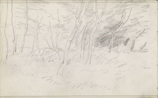 Landscape with trees